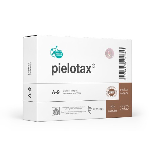 Pielotax N60 — 肾脏